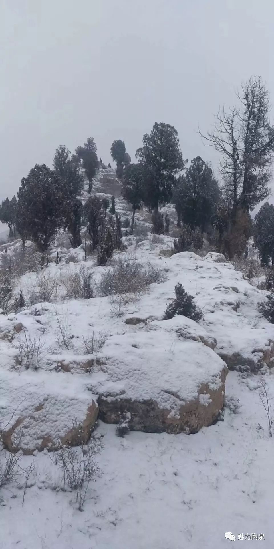 因为这场蔓延全国的肺炎整的人心惶惶朋友圈晒晒美丽的大山雪景可大山