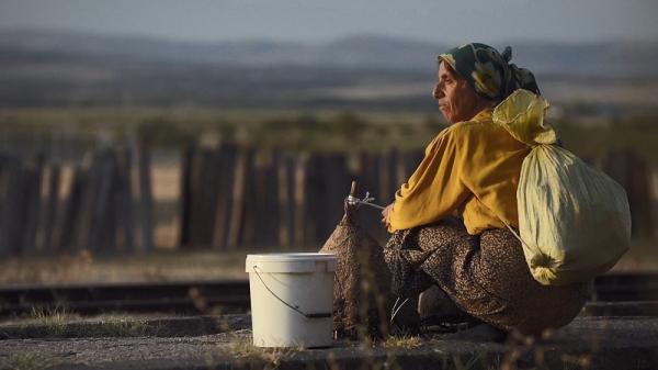 据报道,这部影片是导演塔玛拉·卡托维斯卡,卢布米尔·斯戴法诺和他们