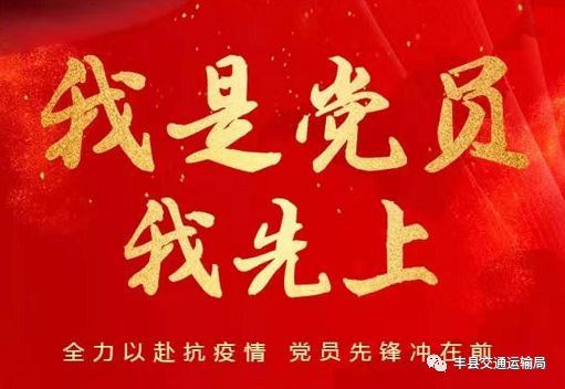 抗击疫情,党员在行动图片