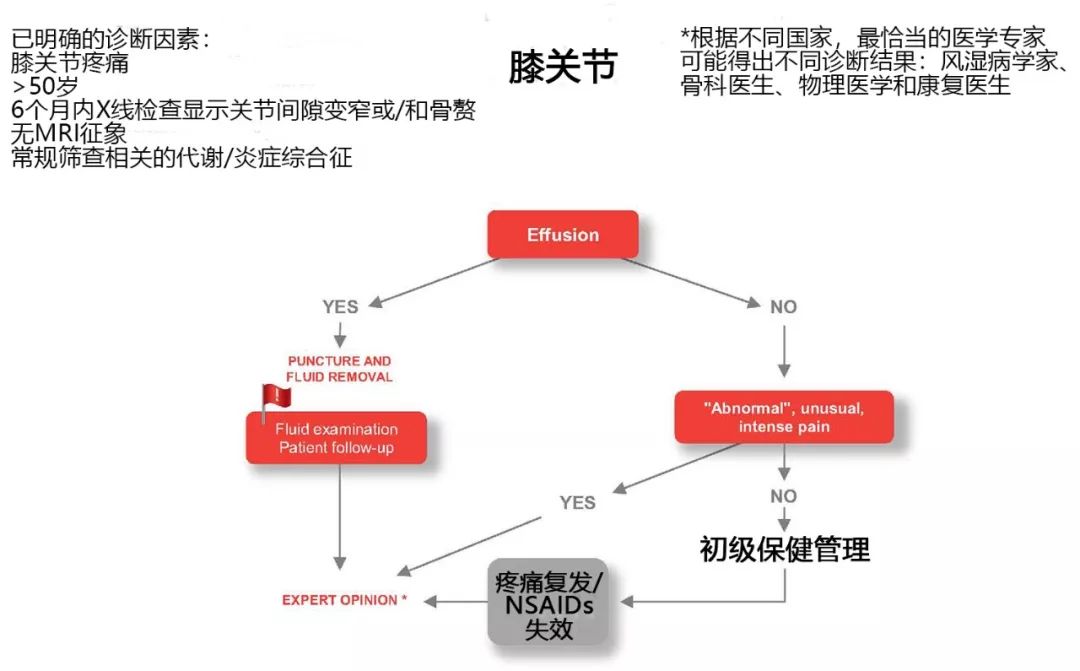 irb共识初级保健中骨关节炎诊断新流程