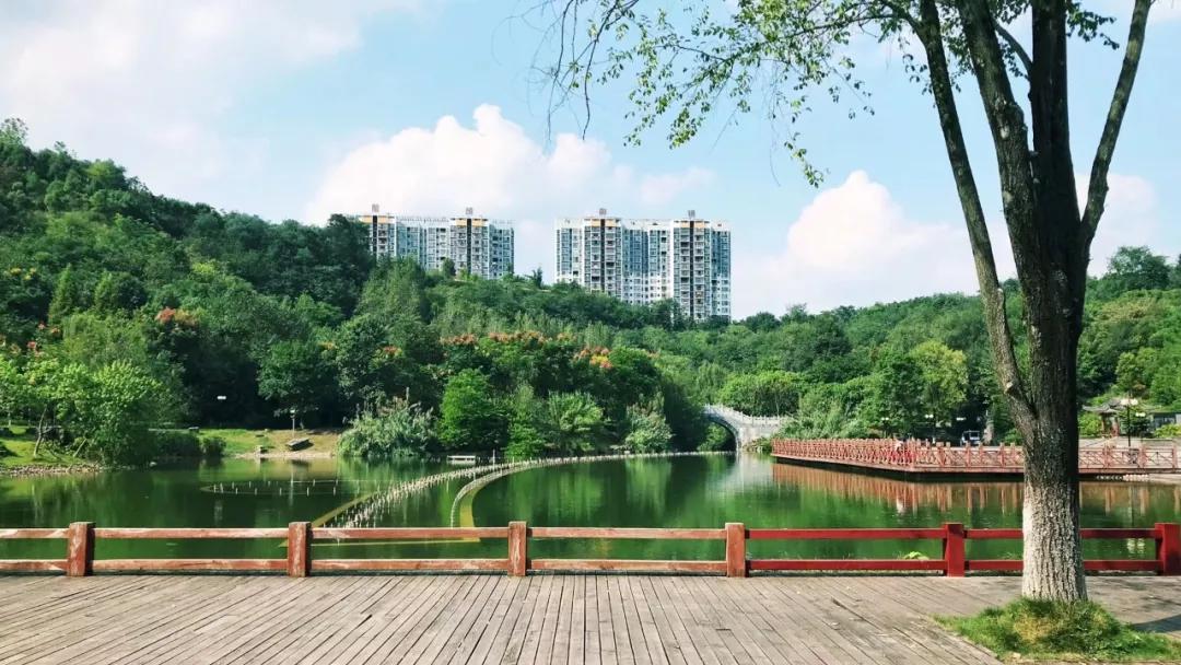 原创必看邻水绝版老照片带你穿越时空