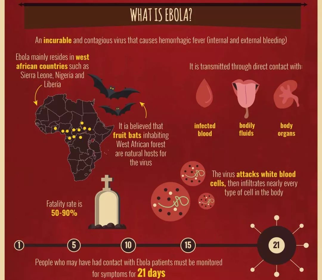 血疫埃博拉的故事