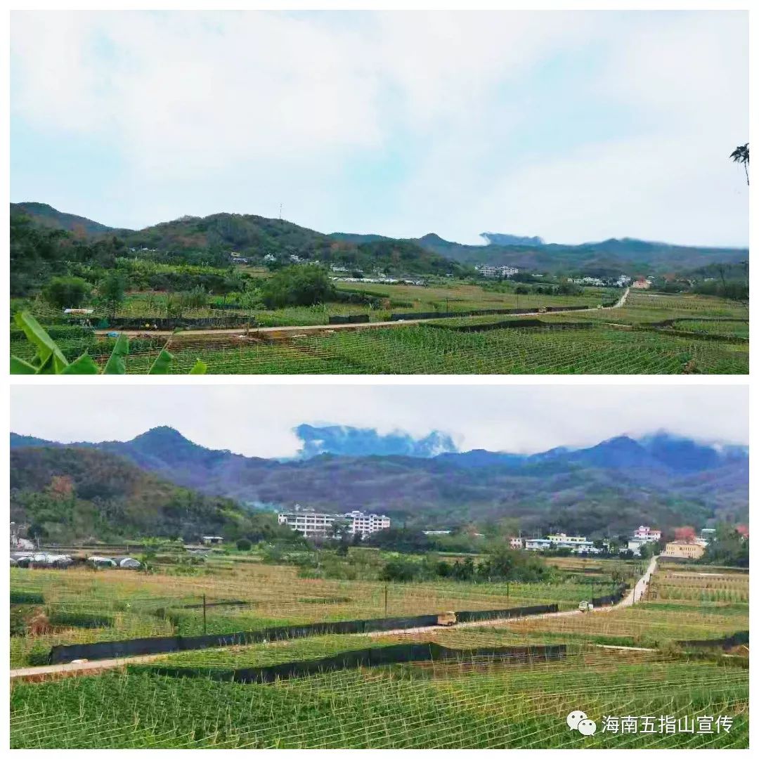 番阳镇:坚决打赢新冠肺炎疫情防控阻击战,稳步推进番阳绿色农贸小镇