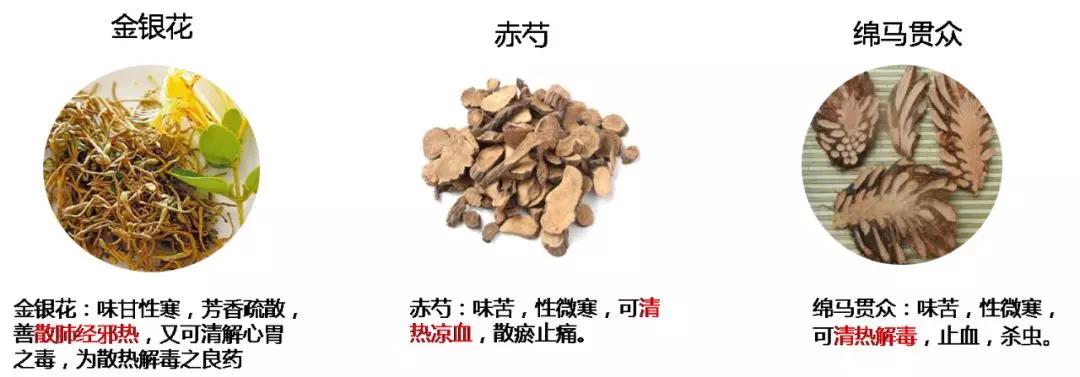处方中的金银花,贯众,赤芍三味药材备受各中医大家的喜爱