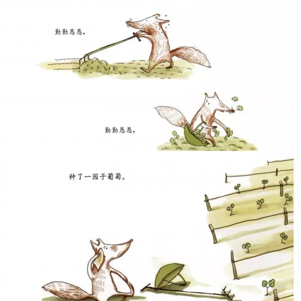 可是怎样才能种出最多最甜的葡萄呢? 狐狸多方请教