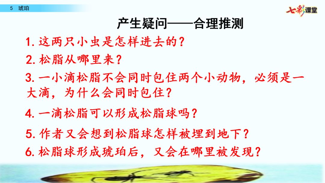 部編版四年級下冊第5課琥珀圖文講解知識點梳理