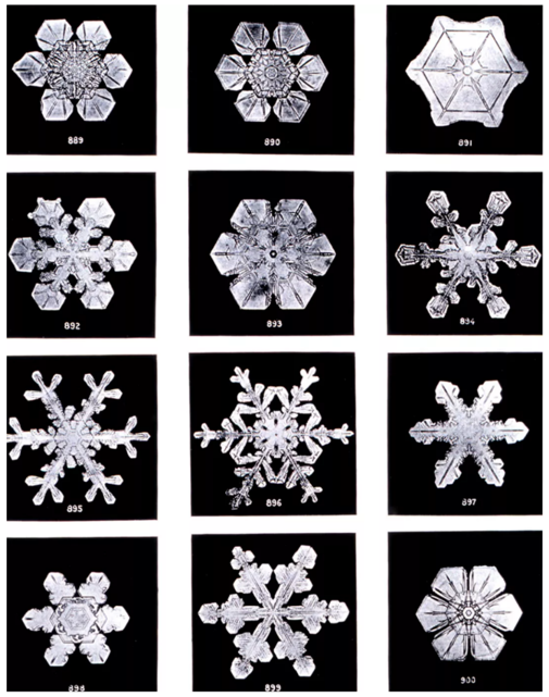 云中雪花"胚胎"的小冰晶,主要有两种形状.