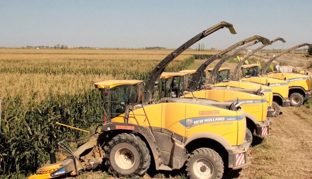 纽荷兰fr系列自走式青贮收获机fr450|fr500|fr600最长四年方案,首付最