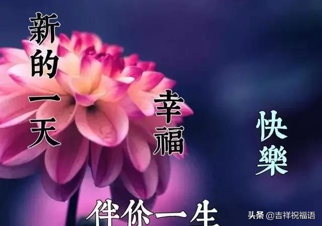 正月十四清晨祝福朋友的早安表情圖非常經典早上好帶字圖片唯美