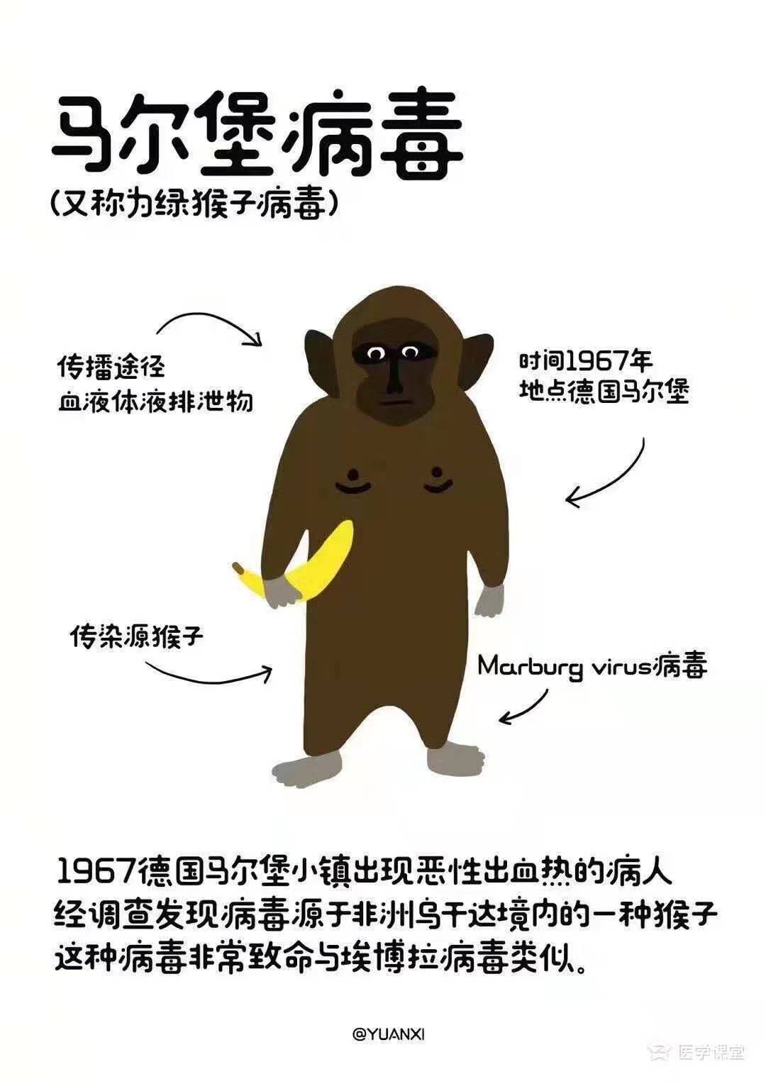 马尔堡病毒真的离我们很遥远吗