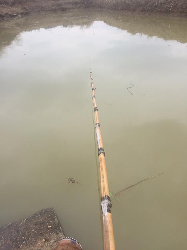 新年第一竿竹竿搏鲤鱼