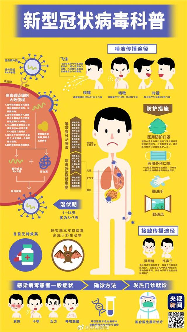 转发!一张图看懂新型冠状病毒感染的肺炎