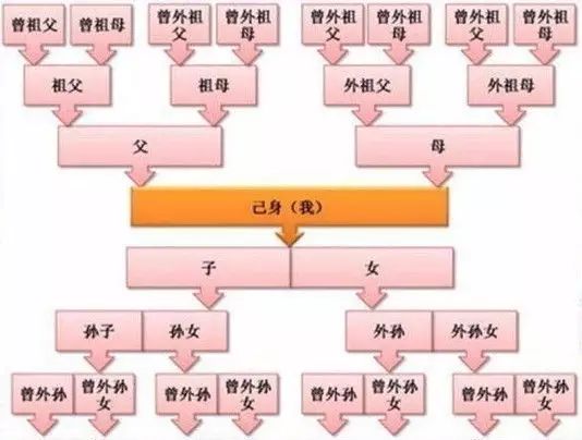 【李氏】"祖宗十八代"都是谁?帮你一次认清所有亲戚