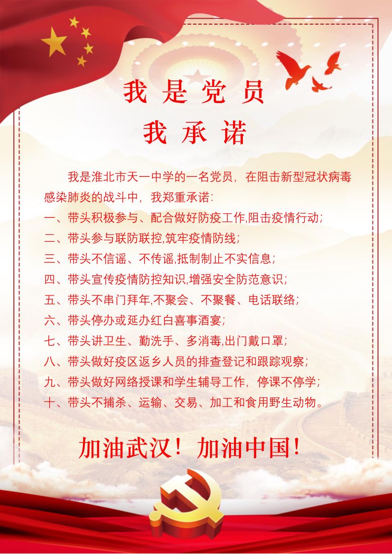 天一党员的承诺