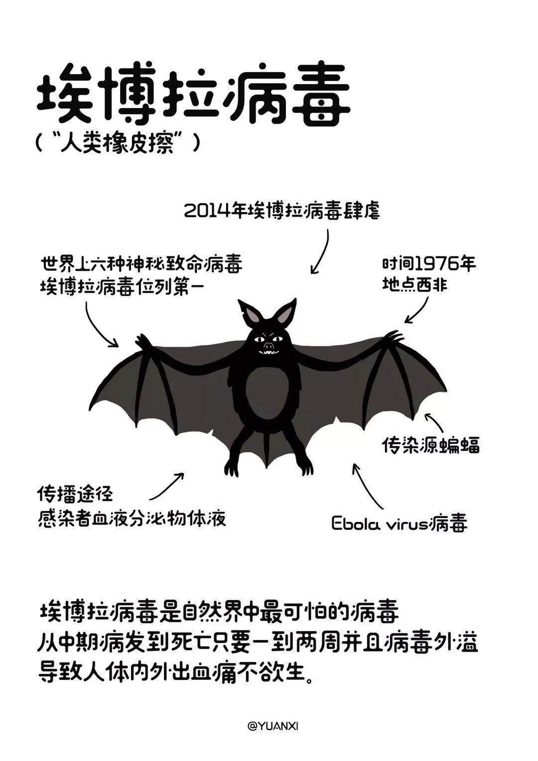 看完这些相信大家都明白了原来有那么多病毒都来自于野生动物拒绝
