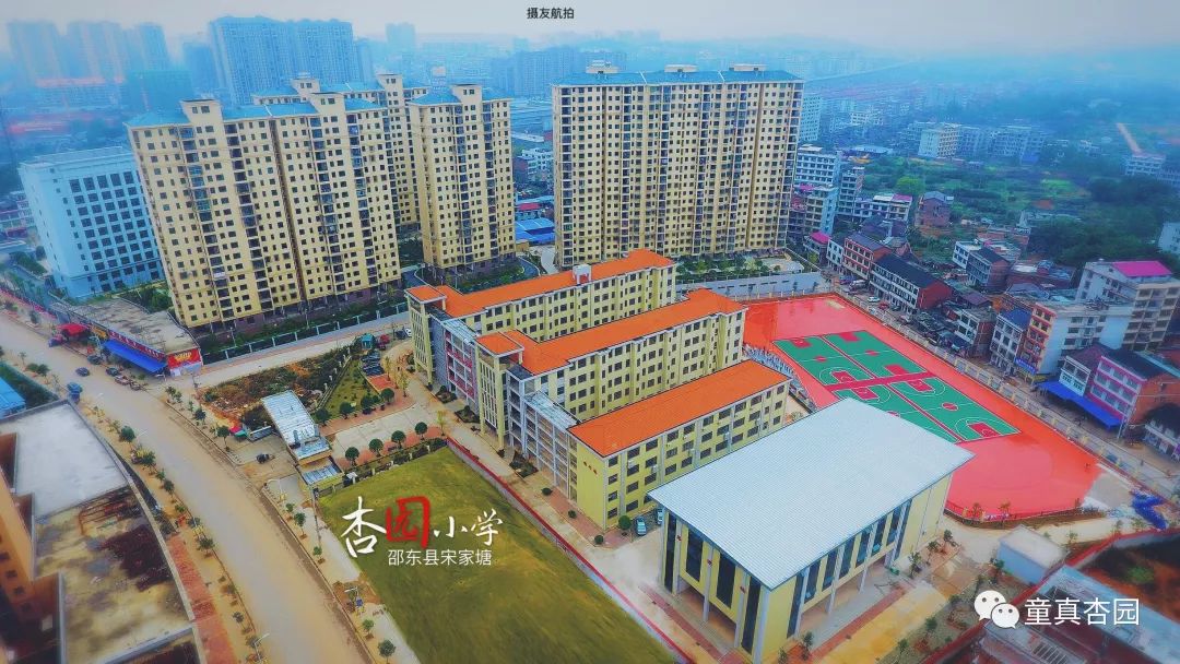 杏园小学校长及全体教师致家长的一封信