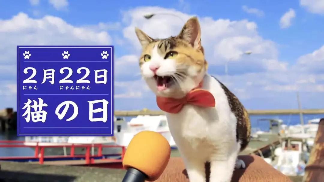 原创拥有十几座猫岛在寺庙和神社供奉猫日本人为什么爱猫如命