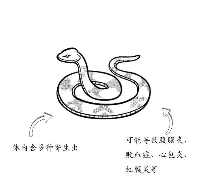 "别吃我,我不好吃,没什么营养,而且身上都!是!毒!