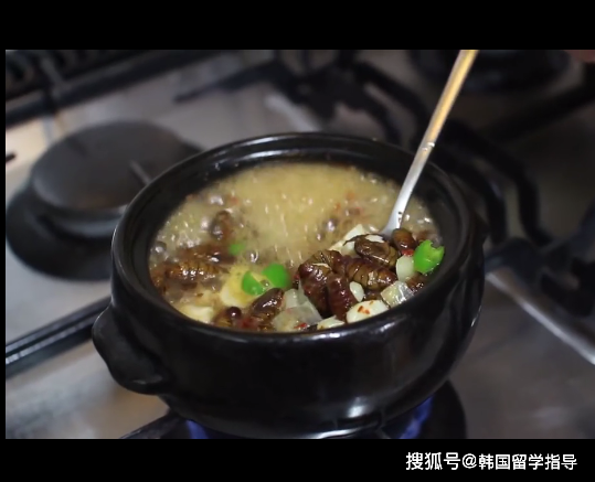 高老师带你吃韩餐韩餐汤篇9985蚕蛹汤