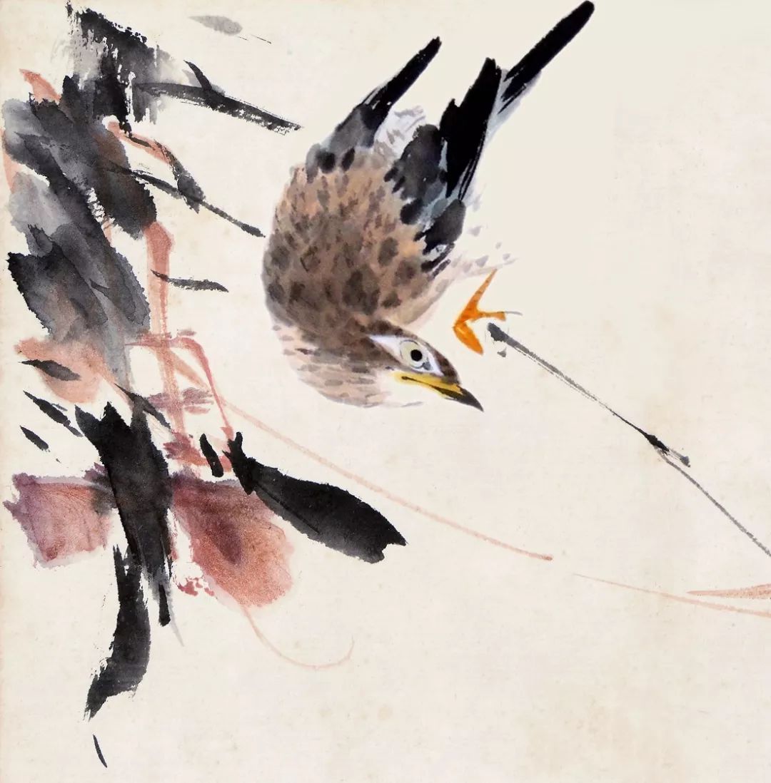 67-画眉68-太平鸟69-啄木鸟70-戴胜71-斑鸠72-斑鸠73-鹦鹉74-鹦鹉75