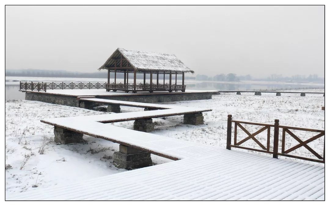 大运河森林公园雪景图片