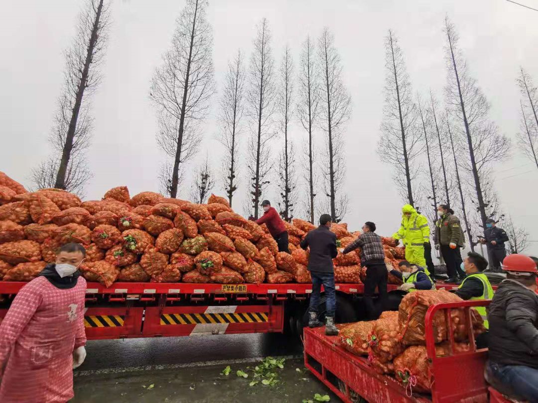 驰援武汉绵阳在行动45吨新鲜蔬菜运往武汉