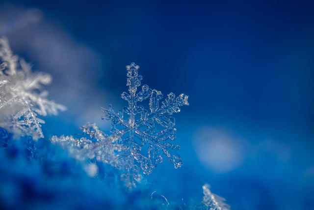 一片雪花究竟能有多大