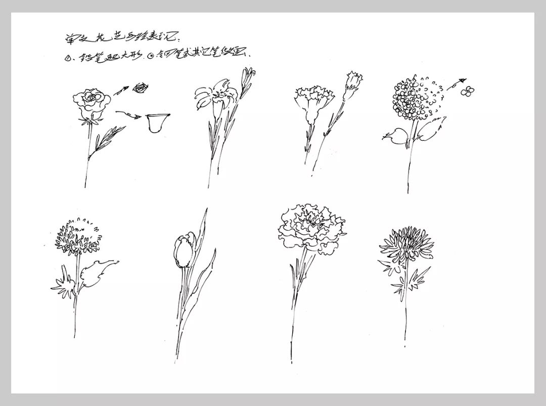 很多人都在偷偷学手绘每天只需10分钟