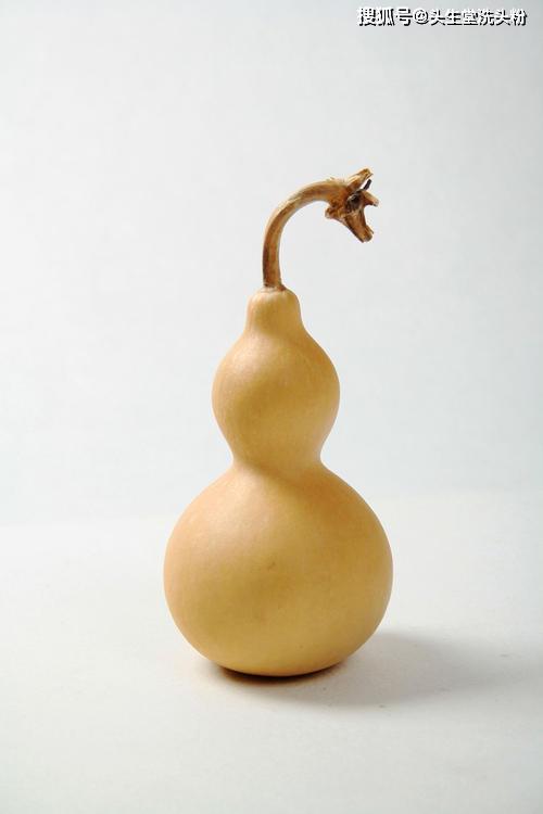 头生堂的标志告诉我们,在中国头疗养生也离不开道家_葫芦