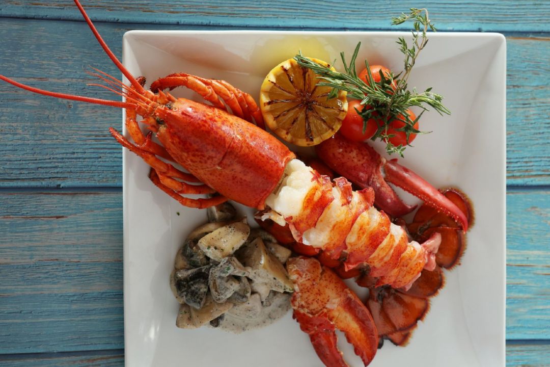 澳洲龙虾 餐桌图片