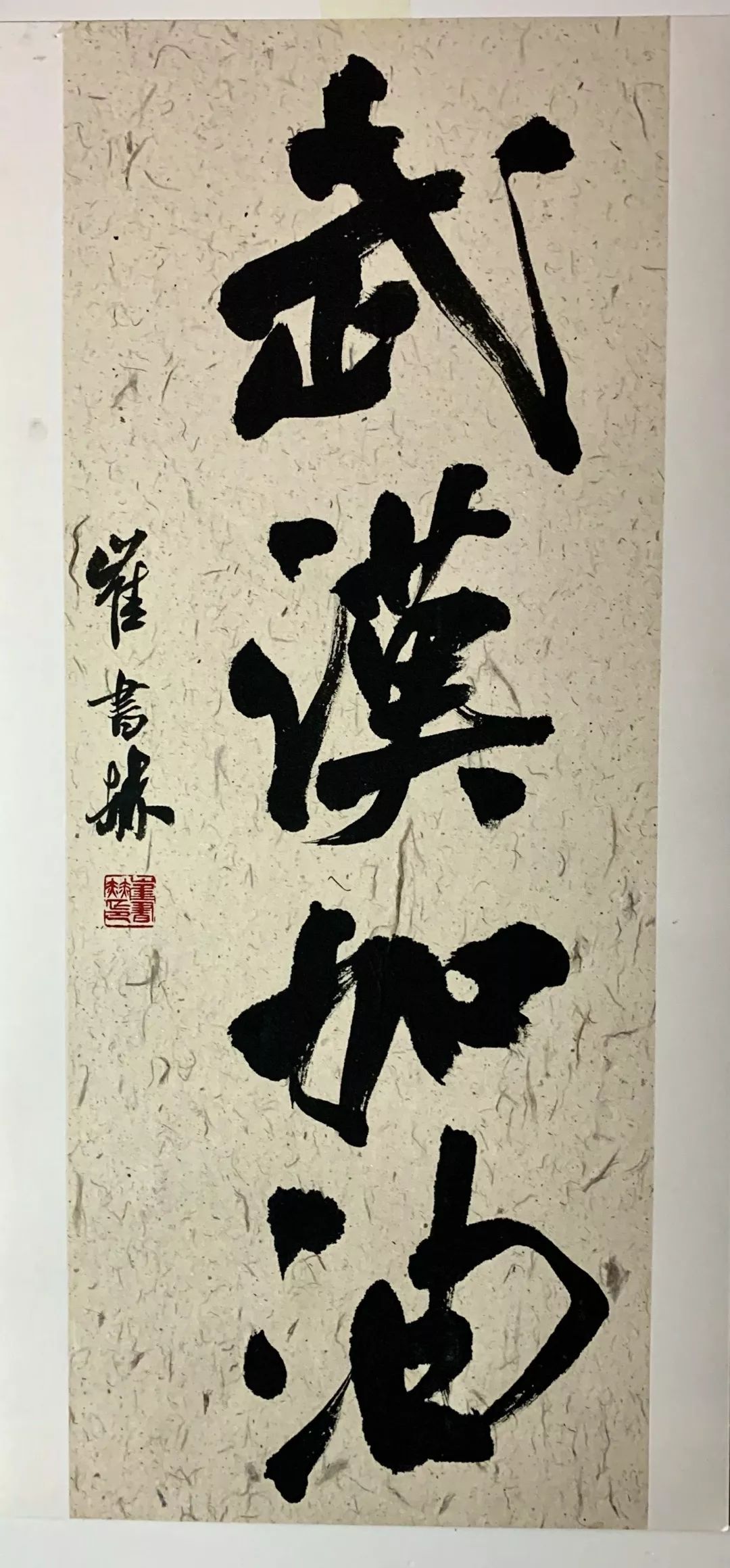 作者:刘树勇教授(老树)作者:王强教授作者:陈明研究员作品展示快来