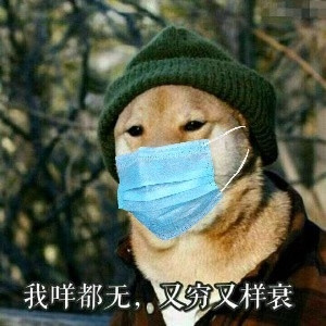 口罩制作口罩头像戴口罩表情包一键搞定