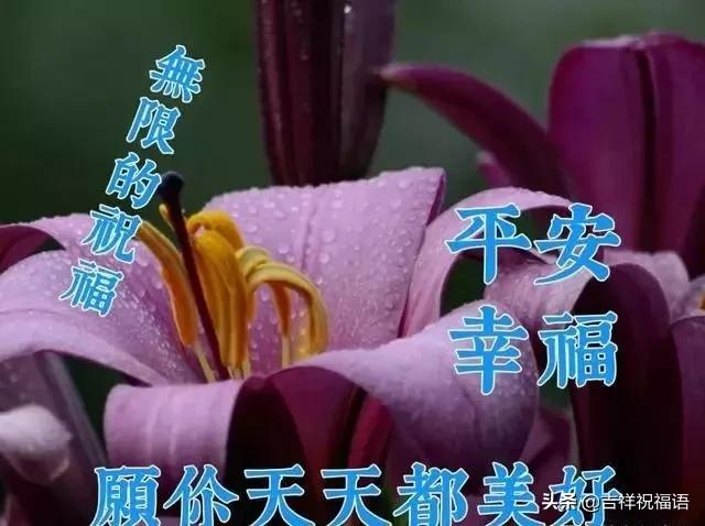 正月十四清晨祝福朋友的早安表情圖非常經典早上好帶字圖片唯美