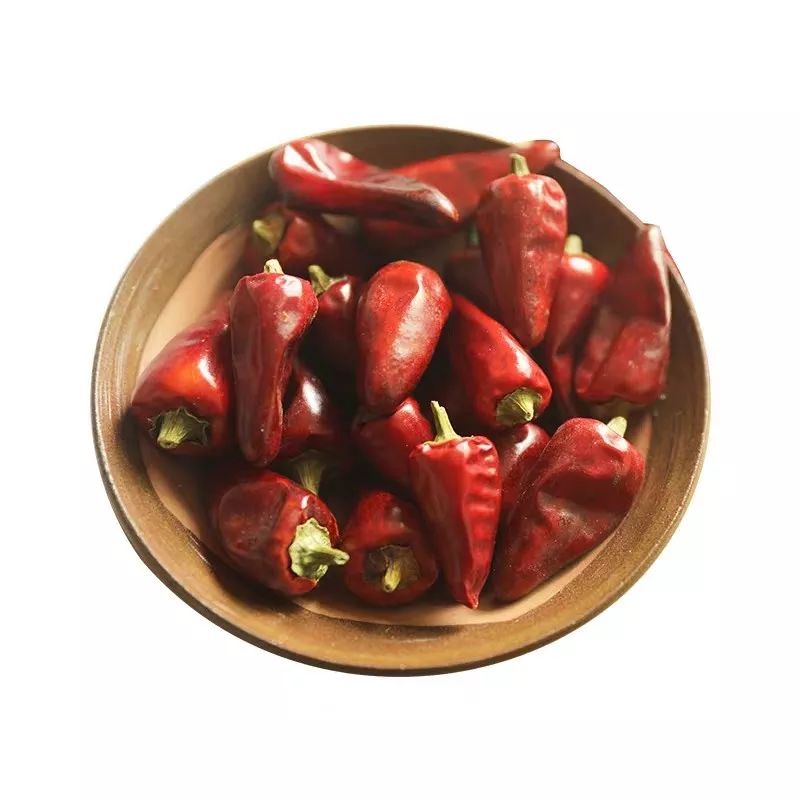 7,鲜子弹头辣椒应用在四川,几乎都只用新鲜的线椒来做菜,干的线辣椒川
