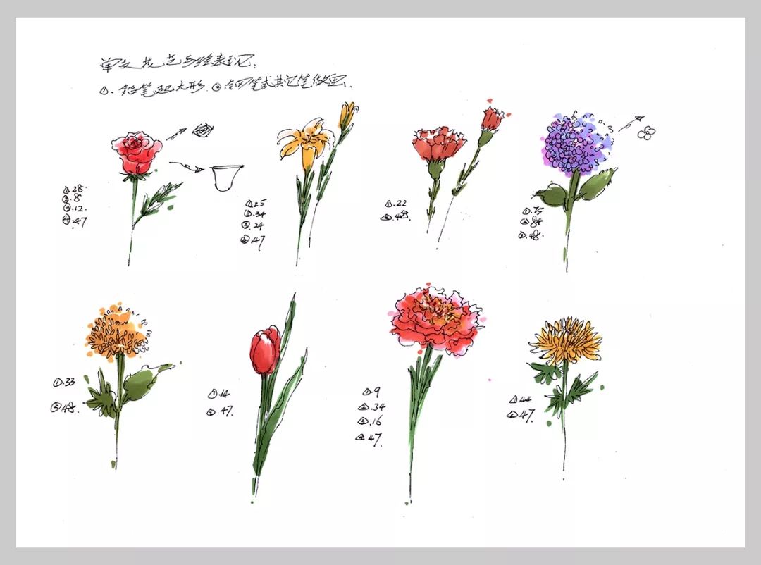 很多人都在偷偷学手绘每天只需10分钟