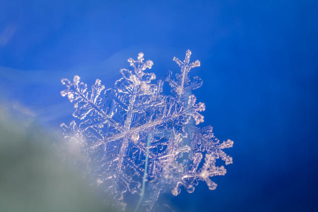 一片雪花究竟能有多大