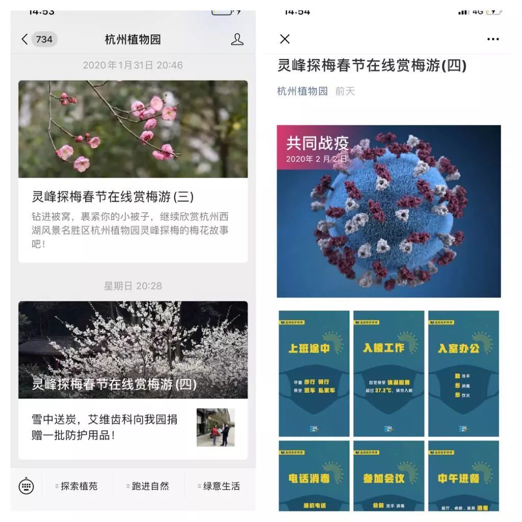 "在线赏梅游"系列微信推文