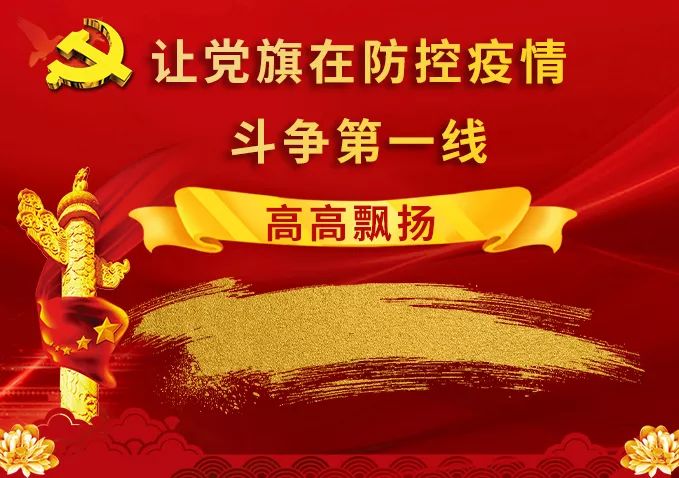 【让党旗在抗疫一线高高飘扬】战"疫"路上党徽闪亮(五)