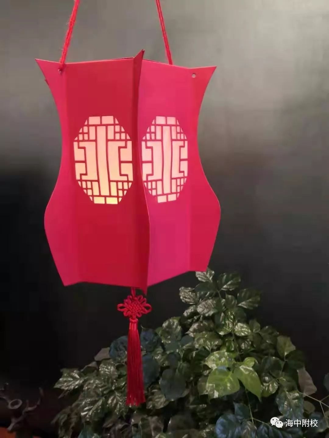 【海中附校】花灯祈福过元宵 众志成城战疫情——我校学子庚子鼠年