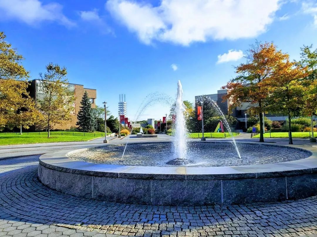 祝贺范成琳同学收到公立常春藤名校纽约州立大学石溪分校的录取offer