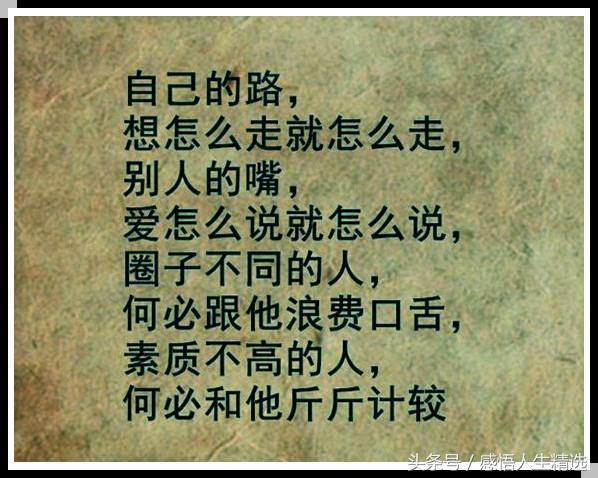 自己的路,想怎么走就怎么走;别人的嘴,爱怎么说就怎么说_宫燕