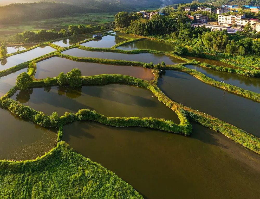 建瓯,我们用心守护的城_铁井栏