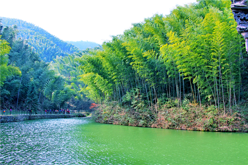 安徽皖南隐藏着一个竹海周润发曾在这里拍电影春天如世外仙境