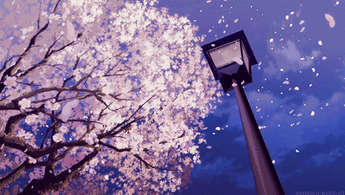 黎明时在月亮锁上黑夜时掏出梦呓几串叮当作响的钥匙不过多了几道影子