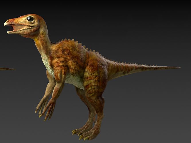 打烊大连自然博物馆邀您在线欣赏远古的生命古生物微视频之上园热河龙