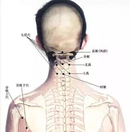 董氏奇穴入门纯干货建议收藏