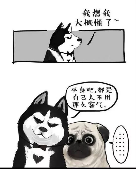 ▼自恋永远是种病还不太懂这里的规矩第一次见到吾皇牛能▼又会有怎样