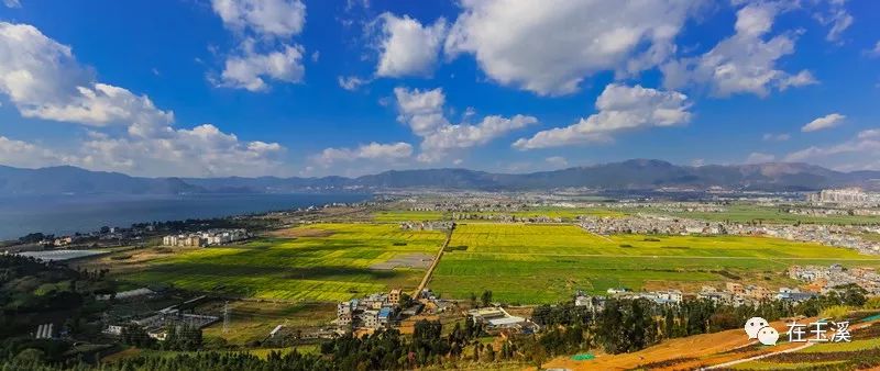 行摄玉溪等到烟消云散拥抱春暖花开