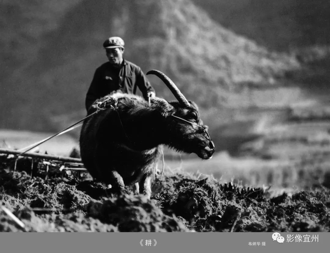 记录乡愁丨老照片里的宜州记忆(一)