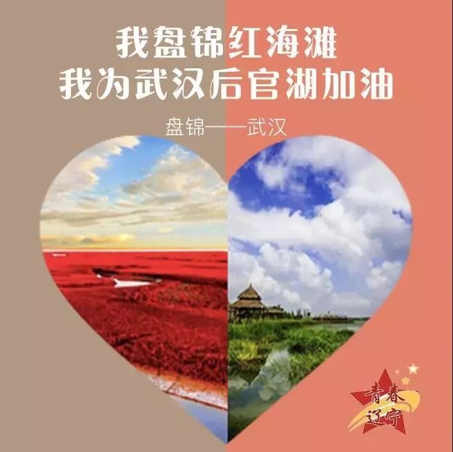 我在辽宁我为武汉加油